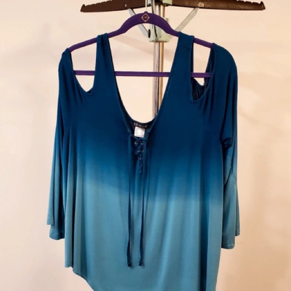 Valerie Stevens Blue Ombre Blouse